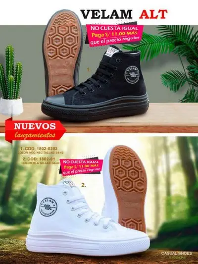 ALT Boot B/N